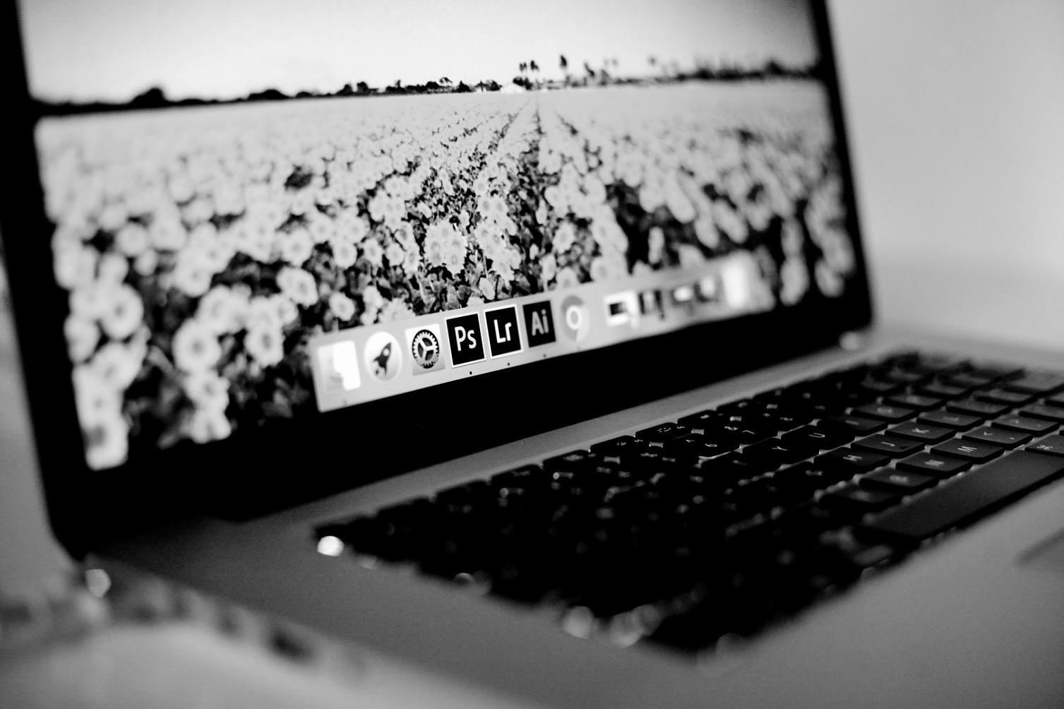 Sistema de recompensas natalinas com progressão visual